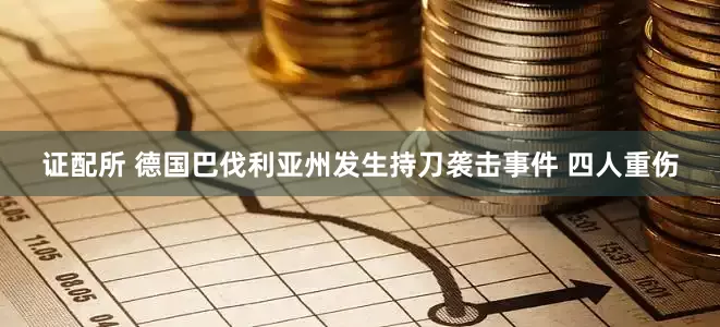 证配所 德国巴伐利亚州发生持刀袭击事件 四人重伤