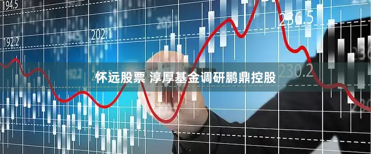 怀远股票 淳厚基金调研鹏鼎控股