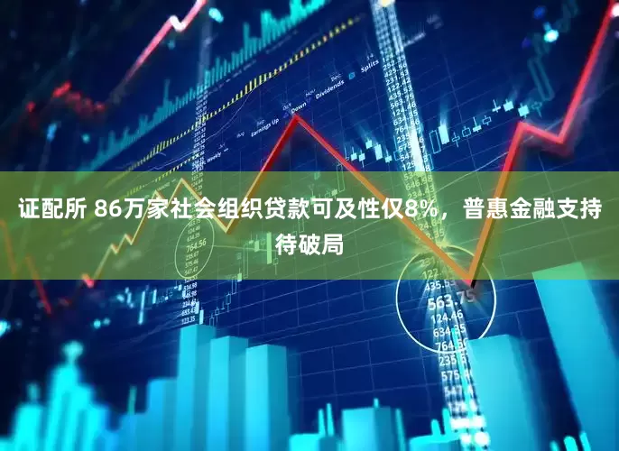 证配所 86万家社会组织贷款可及性仅8%，普惠金融支持待破局
