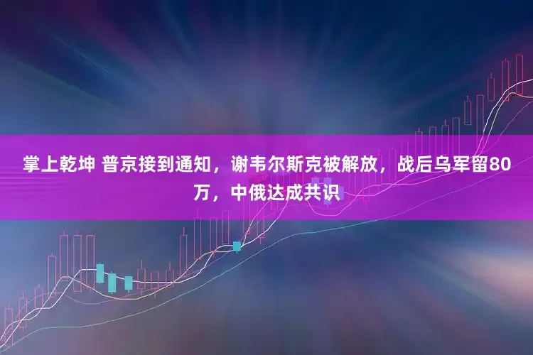 掌上乾坤 普京接到通知，谢韦尔斯克被解放，战后乌军留80万，中俄达成共识